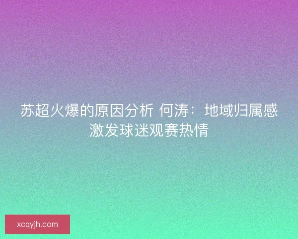 苏超火爆的原因分析 何涛：地域归属感激发球迷观赛热情